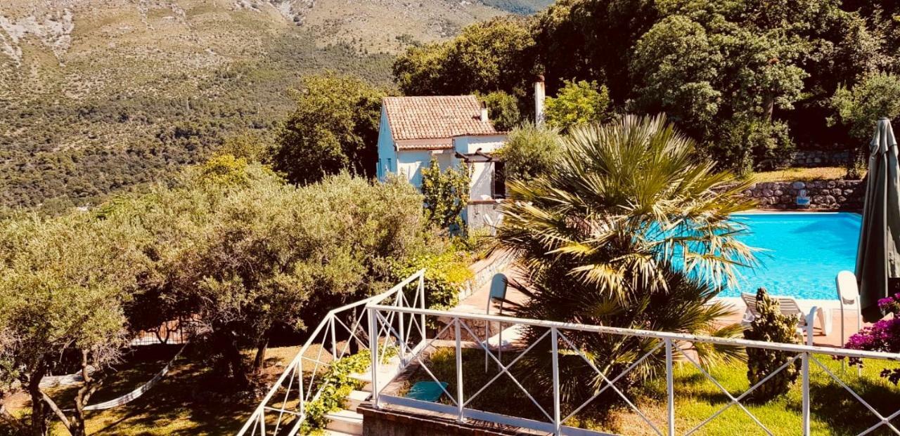 Maison Marida ماراتييا المظهر الخارجي الصورة